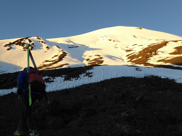 carrying skis to the snowline on the north side of Volcan Parinacota.