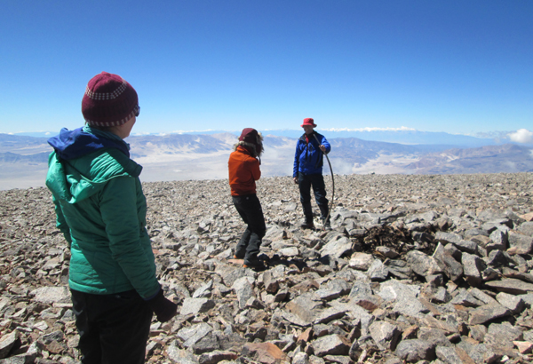 A pile of Inca firewood onthe summit of Laguna Blanca Sur. 