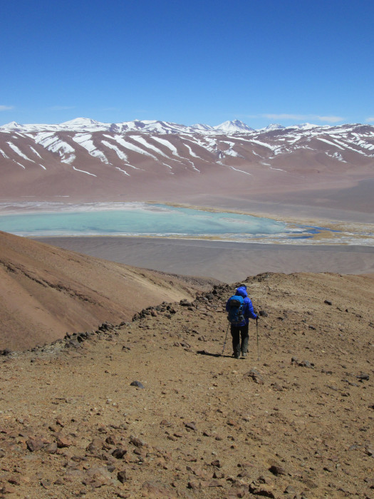Climbing Cerro Losloyo, Chilean Puna de Atacama. 