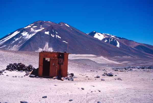 Vicunas as seen from the refugio Atacama on Ojos del Salado. 