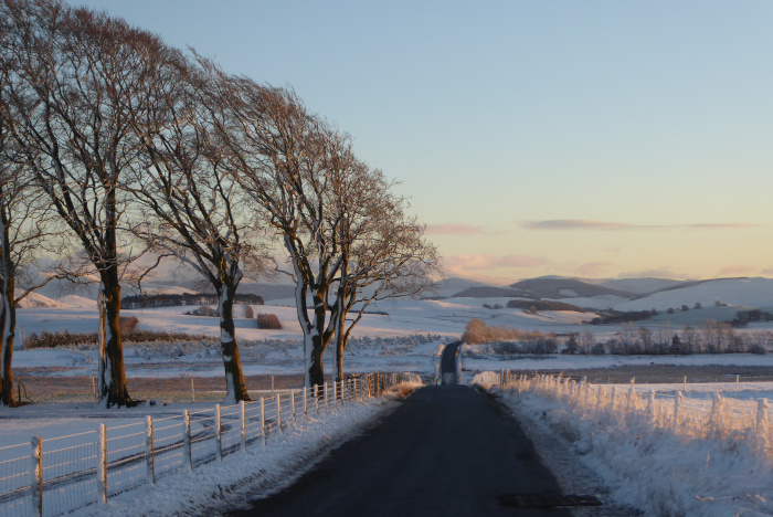 Loooking towards Culter fell from near Biggar, 3rd January 2025. 