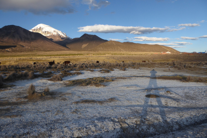 Andes Website - Information about Sajama, the highest mountain in ...