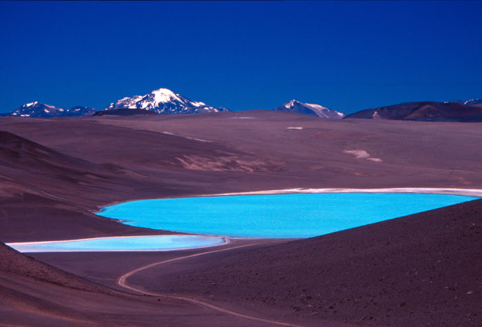 The spectcaular Laguna Celeste, Argentine Puna de Atacama.  